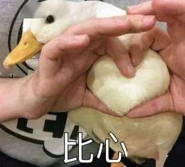 娱乐吃瓜酱鸭鸭视频,揭秘娱乐圈幕后故事